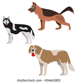 Set of three dog in flat style. Dog icon. Dog sign. Shepherd, st. Bernard dog, husky. Vector illustration.