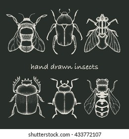 Set of three doodle hand drawn insects 