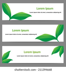 Set of three eco banners with green leaves on white background. Ecology cards with copyspace