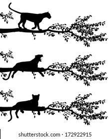 Set of three editable vector silhouettes of a leopard on a tree branch with leopards as separate objects