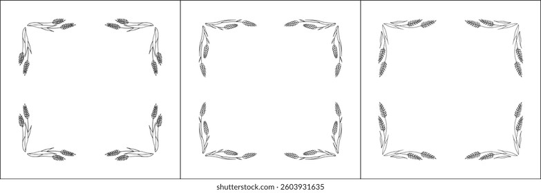 Set of three elegant black and white ornamental frame with cereal spikelets, wheat ears, decorative border. Isolated vector illustration.	
