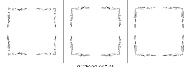 Set of three elegant black and white ornamental frame with cereal spikelets, wheat ears, decorative border. Isolated vector illustration.	
