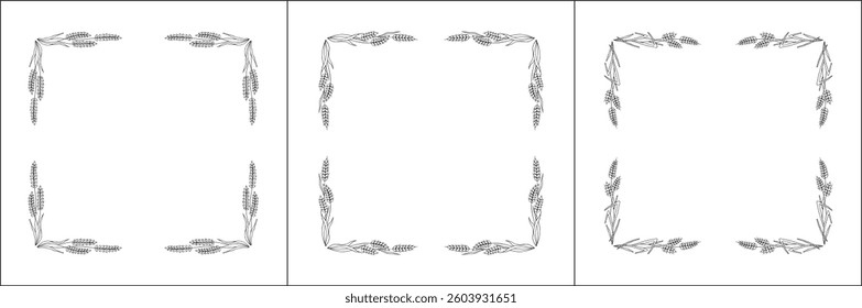 Set of three elegant black and white ornamental frame with cereal spikelets, wheat ears, decorative border. Isolated vector illustration.	
