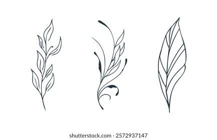 Set of three elegant botanical line art illustrations featuring abstract leaves, perfect for modern decor or design projects