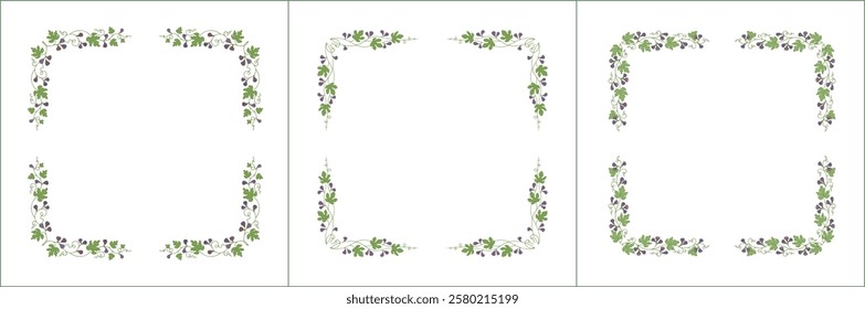 Set of three elegant green vegetal ornamental frame with purple figs, decorative border. Isolated vector illustration	