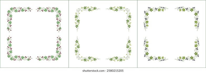 Set of three elegant green vegetal ornamental frame with figs, decorative border. Isolated vector illustration	