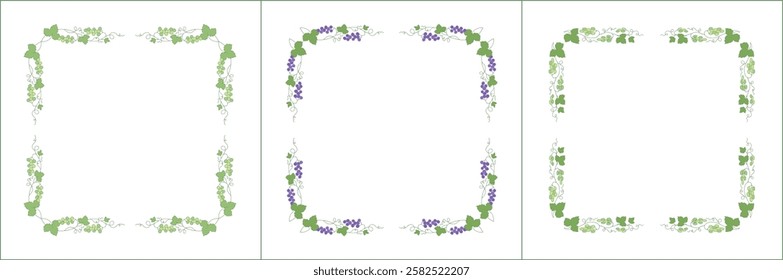 Set of three elegant green vegetal ornamental frames with blue and green grape vine, decorative border. Isolated vector illustration. Floral frame.
