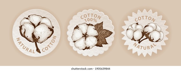 Set of three emblems in eco style with hand sketched cotton plant. Realistic labels different shapes with cotton flowers. Vector botanical illustration. Natural organic and eco concepts
