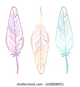 Conjunto de tres plumas. Degradado brillante. Ilustración vectorial. Objetos aislados en un fondo blanco. Ilustración vectorial de material.