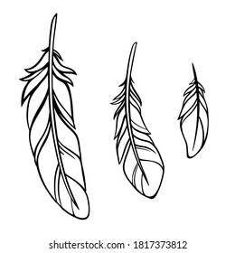 set of three feathers made in a simple graphic style