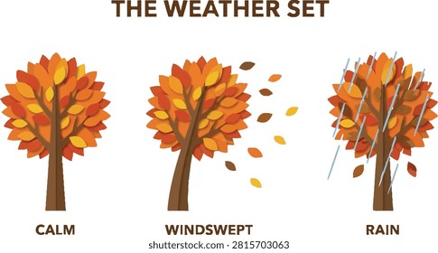 Set of three flat paper cut style autumn trees showing different weather conditions including calm, windswept with flying leaves and rain, seasonal nature vector illustration isolated on white background.