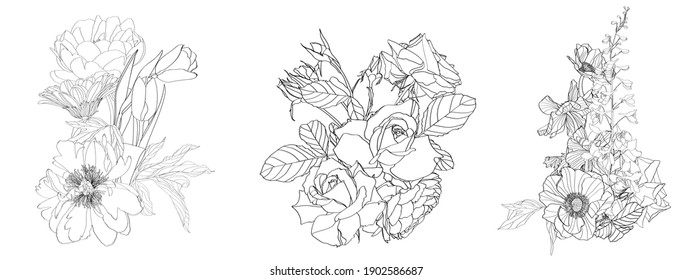 Set of three floral bouquets with black and white hand drawn herbs, garden flowers and insects in sketch style.