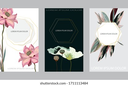 Conjunto de tres diseños florales para tarjetas de felicitación, invitaciones, banners sobre fondo blanco, gris y negro. Flores, hojas, cajas de loto y hojas de una palmera tropical. Impresión de estilo minimalista