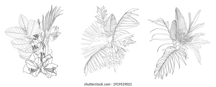 Set of three floral line bouquets with black and white hand drawn herbs, flowers and palm leaves insects in sketch style.