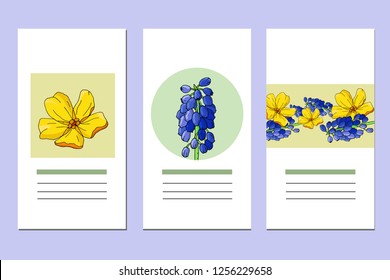 Set with three floral romantic patterns