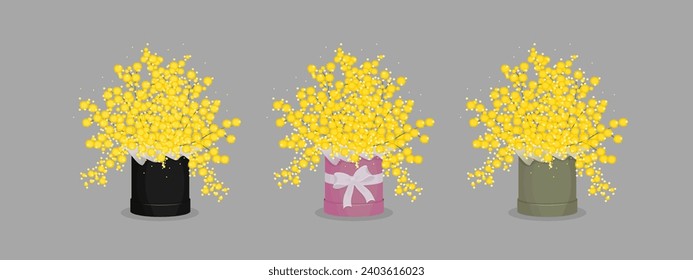 A set of three flower boxes. Bouquets with mimosa