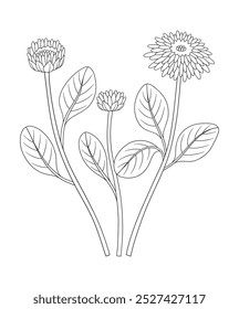 Conjunto de três flores com folhas. Buquê de flores perenes plantas selvagens, flores silvestres. Linhagem, estilo mínimo, contorno. Elementos botânicos desenhados à mão para projetos de design. Ilustração vetorial