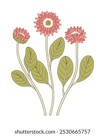 Set of three flowers with leaves. Bright bouquet of blooming perennial wild plants, wildflowers. Botanical hand-drawn elements for design projects. Vector illustration