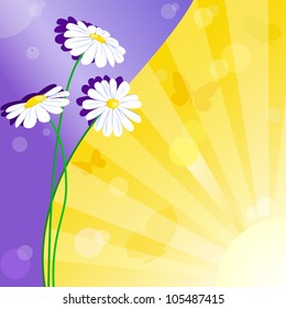 Set of three flowers on purple and yellow backgrounds