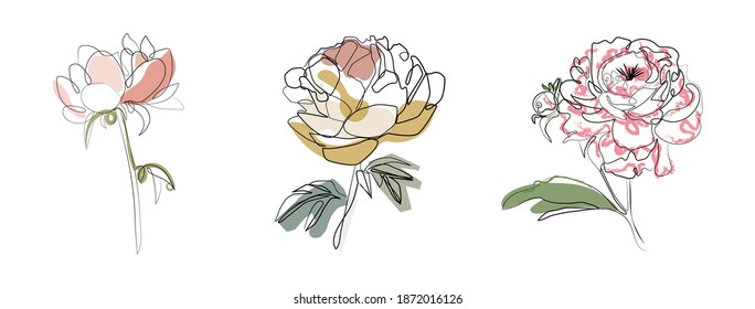 Set of three Flowers in one line art drawing style. Vector illustration. Simple Art. Trendy peonies and roses for Logo, poster, blog, banner and simple design