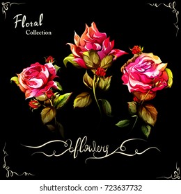 Set of three flowers. Rose and peony on black. Hand drawn illustration, watercolor. 