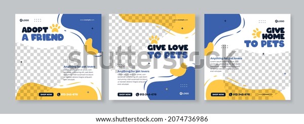 Set of three fluid\
background of pet care promotion banner social media pack template\
premium vector