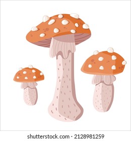 Set of three fly agaric mushrooms