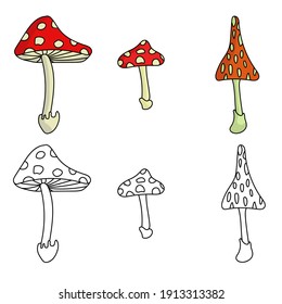 A set of three fly agarics in color and outline, bright dangerous mushrooms for design and creativity