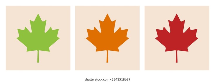 Set of three framed maple leaves. Autumn maple tree leaf for the design of greeting cards, holiday banners, and posters. Vector