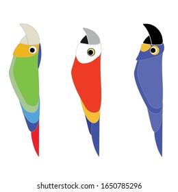 Set of three funny profiles of tropical macaws isolated on white background. Biodiversity concept. Editable colorful digital vector illustration.