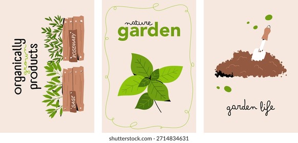 Set of three gardening posters with herbs labels, green leaves and garden tools. Organic garden theme illustration for eco design, wall art, packaging, stationery, posters, flyers and home decor