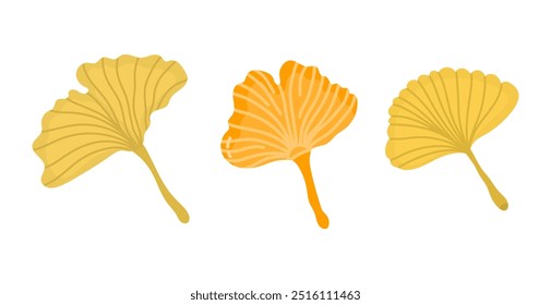 Set of three ginkgo leaves autumn and dry on white background. Flat design illustration