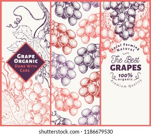 Juego de tres pancartas de uva. Plantilla de marco de fresa de uva. Ilustración de frutas vectoriales dibujada a mano. Fondo botánico vintage grabado.