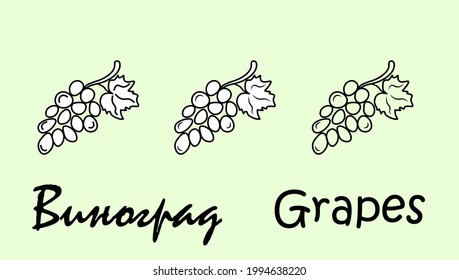 Un conjunto de tres objetos de uva con la inscripción "uvas" en ruso e inglés. Ilustración vectorial simple, eps