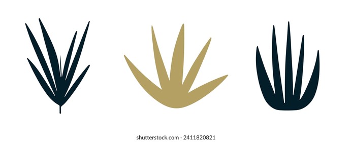 A set of three graphic images of agave leaves in three colors on a white aphid, stylized flat design.