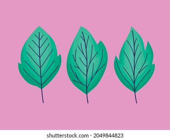 set of three green leaves