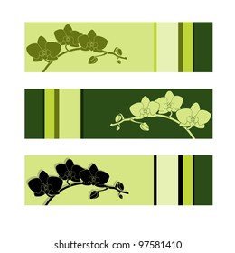 Set of three green orchid banners on white background