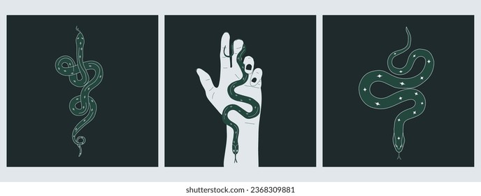 Set of three Green snake animal magical wild. Vector in cartoon style. All elements are isolate