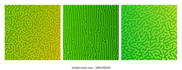 Set of three green turing reaction gradient backgrounds. Abstract diffusion pattern with chaotic shapes. Vector illustration.