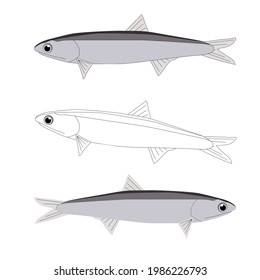 Set of three grey anchouses coloured and an outline for colouring with cartoon eyes