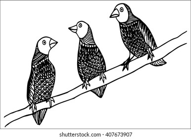 Set of three hand drawn birds in vectors. 