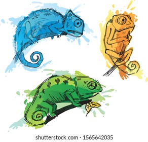 Set of three hand drawn colourful chameleons.