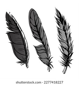 Set of three hand drawn feathers