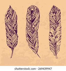 Set of three hand drawn feathers 