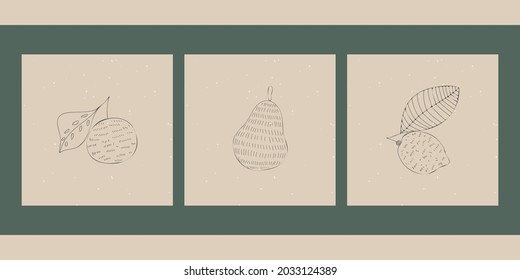 A set of three hand drawn line art illustrations. Trendy vector thin line square posters. Abstract neutral backgrounds in Scandinavian style with plants, pear, tangerine and lemon fruits.