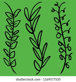 a set of three hand drawn minimal leaves on a green background