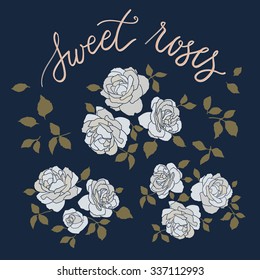 Set of three hand drawn rose bouquetes with additional details, vector illustration