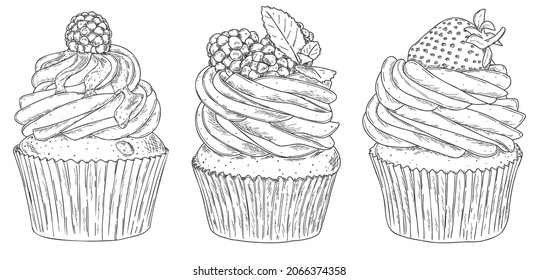 Set of three hand drawn sketches of different cupcakes with fresh berries isolated on white background.