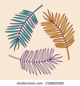Conjunto de tres hojas tropicales de palma dibujadas a mano, ilustración vectorial para tarjetas, invitación a bodas y tarjetas de cumpleaños