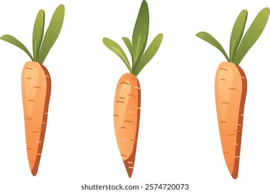 Set of three hand drawn vector carrots in flat style. Illustration in cartoon stylisation. Collection of isolated fresh colourful vegetables